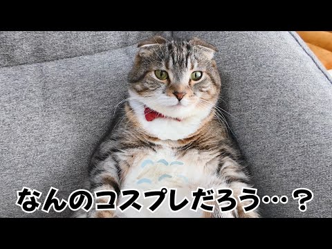 りっちゃんが何のコスプレしてるか当てた人が一番すごい選手権でごわす🐈