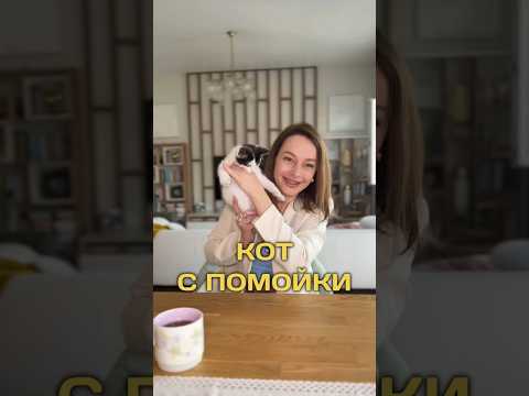 Какие у вас домашние животные? У нас теперь котёнок Гаврик, знакомьтесь ☺️