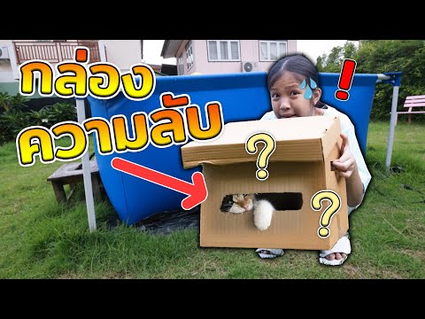 กล่องความลับของโฟกัสซ่อนอะไรไว้ในกล่อง-ละคร โฟกัสแอนด์ฟิล์ม แฟมมิลี่แก๊งค์ กล่องความลับของโฟกัสซ่อนอะไรไว้ในกล่อง-ละคร