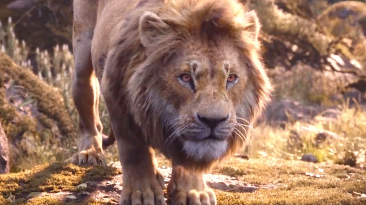 The Critics Have Seen The Lion King And Here's What They Say