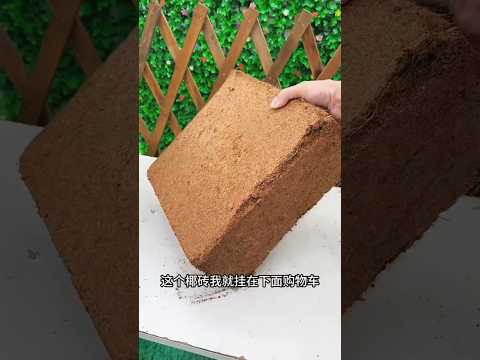 Part 40 | Class flowers grow The Secret to Thriving Gardens Moisture Retaining Soil