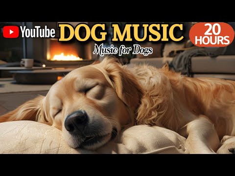 강아지가 좋아하는 음악💖🦮강아지 수면 음악 20시간 연속🎵🐶혼자 있는 시간을 편안하게 해주는 릴랙스 음악💤매일 켜주세요 by 힐링메이트