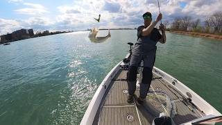 Catching Walleye and Muskie on the Detroit River