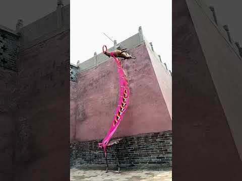 high quality and high power jump dog style #trending #shortsvideo #youtubeshorts #viral