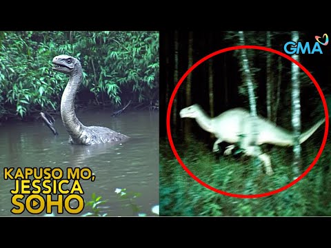 HINIHINALANG DINOSAUR, NAMATAAN SA KAGUBATAN! | Kapuso Mo, Jessica Soho | kmjs | kmjs latest episode