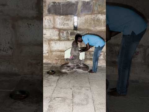 తాతయ్య తల తగిలిస్తే రోగాలన్నీ మటుమాయం