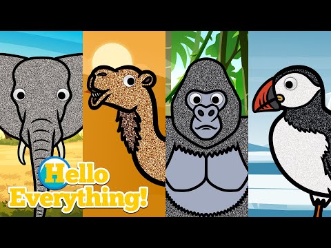 Where Do You Live? | Learn Animal Habitats with Animal Videos | Safari, Rainforest, Polar, Desert
