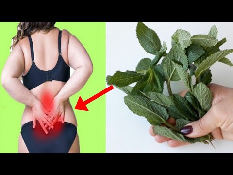 It is the ultimate treatment for back pain, joints and osteoporosis without return