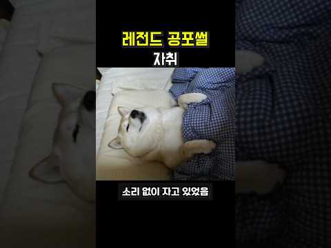 판 레전드 공포썰 [자취]