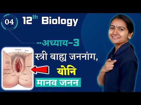 L-4, स्त्री बाह्य जननांग, योनि | Explain With Model | अध्याय-3, मानव जनन | Human Reproduction | Bio