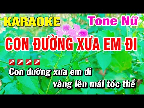 Karaoke Con Đường Xưa Em Đi Nhạc Sống Tone Nữ | Hoài Phong Organ