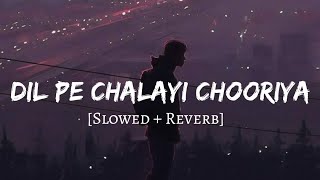 Dil Pe Chalai Churiya [ Slowed + Reverb ] - Sonu Nigam | Lofi Songs | Bewafa Sanam | Lofi Vibes
