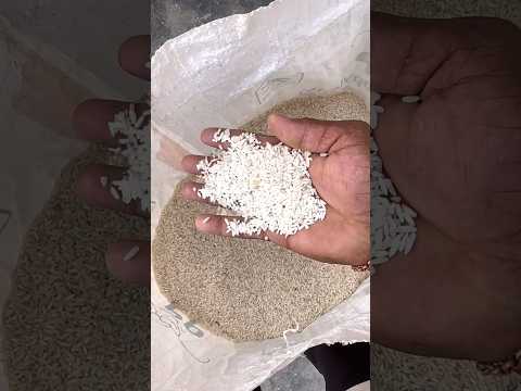 మా చెల్లిని HOSTEL లో JOIN చేసిన.... #dailyvlogs #farmer #anil