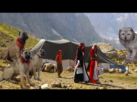 YAYLAYA ÇIKAN ÇOBANIN ÇİLELİ HAYATI !! HD BELGESEL