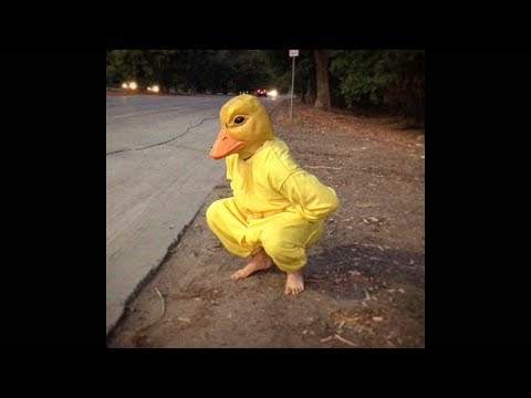 Si ves a este PATO por la calle, corre rápido y pide AYUDA!!! (Pato Salvaje) 🐤🔥