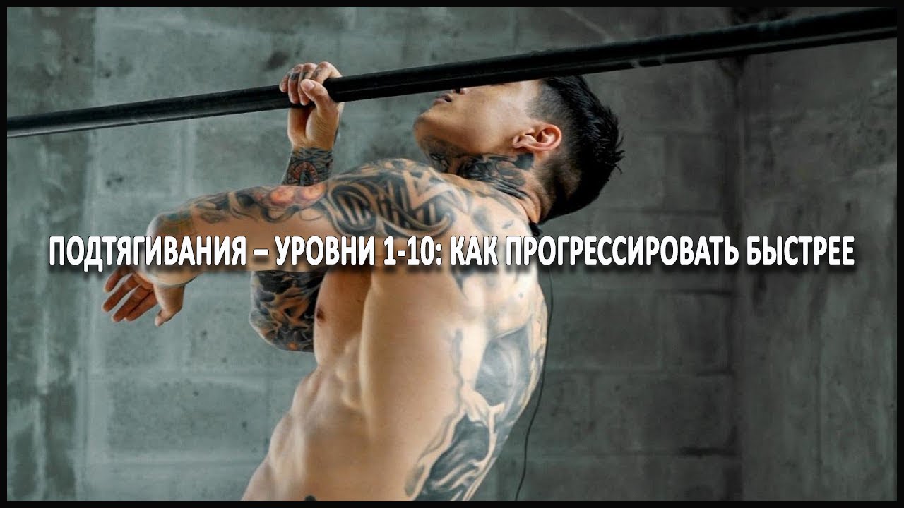 Подтягивания уровни 1-10: как прогрессировать быстрее