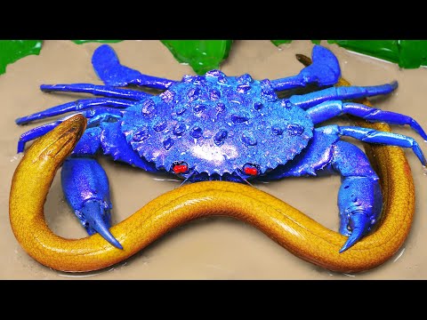 Stop Motion ASMR - Primitive Seafood King Crab Eel Hunting , Primitive Cooking Carp Underground