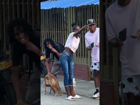 Él cambió de mascota 🦮🤣🐔parte3 #graciosa #graciosisimo #funnyvideos #humor #bromagraciosa #comedy