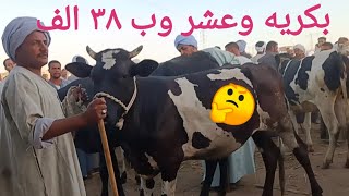 انخفاض اسعار البقر العشر والبكاري أول عشر بسوق اسنا صباحكم رزق أن شاء الله ٣/ ٨/ ٢٠٢٥م