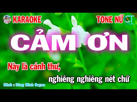 Cảm Ơn Karaoke Tone Nữ Nhạc Xuân 2025