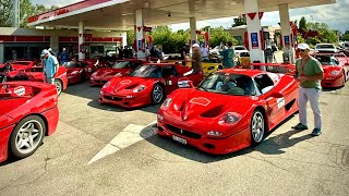 Ferrari F50 30th Anniversary Tour in Tuscany: 23x F50!!