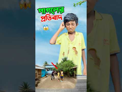 পাগলের প্রতিবাদ দেখুন     #short #shorts #islam #islamic #viralvideo #trending #tiktok