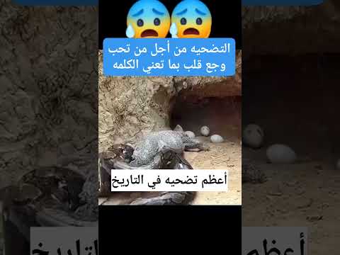 سبحان الله العظيم ❤️ صلواعلى رسول الله عليه الصلاة والسلام #لاتنسى_الاشتراك