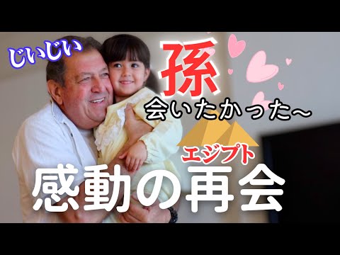 エジプト人じいじいが日本家族と再会したらとんでもない結果に