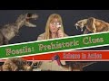 Fossils and Clue Analysis
