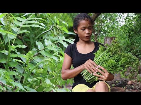 The delicious food from the Green plants ( Elephant nose plants ) Have you know and eat this plant?