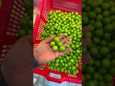 شنو اكثر فاكهة تحبوها ؟؟ منو اشهر ابو مخضر بمنطقتكم