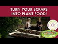 Composting Basics and Techniques