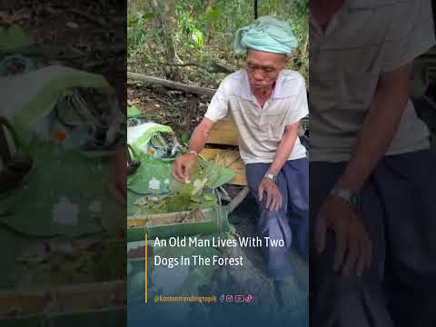 An Old Man Lives With Two Dogs In The Forest #shorts #shortvideo #short #shortsvideo