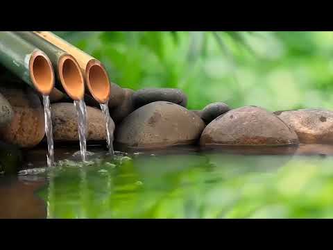 Healing Music for Anxiety Disorders 🌿 Meditation Music Relax Mind Body, Nature Sound, Bamboo