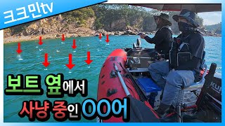어은돌 우럭 다운샷 낚시(feat.저마력 고무보트)