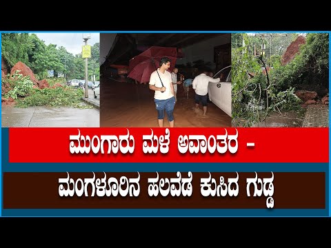 ಮಂಗಳೂರು ಮಳೆ ಅಬ್ಬರಕ್ಕೆ ಕಂಗಾಲದ ಜನ - ಹಲವೆಡೆ ಗುಡ್ಡ ಕುಸಿತ