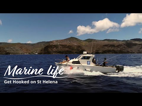 Get Hooked on St Helena