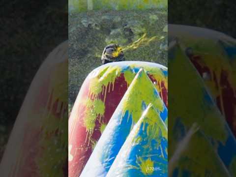 Boom. Headshot. Pro paintball. #paintball #shorts