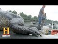 Willie's Alligator Catching Challenges