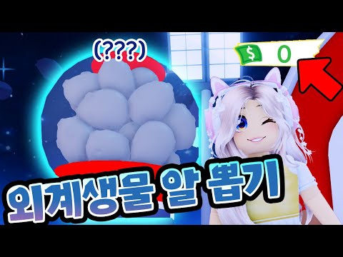 *문에그* 알뽑기! 레전더리는 떠줄까..? 입양하세요 354화 [로블록스] 단미호 Adopt Me