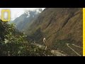 Camino a los Yungas: Preguntas Clave