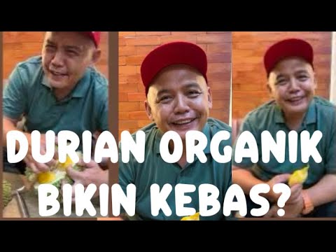 DURIAN DURIHITAM ORGANIk, KOK GINI RASANYA!!