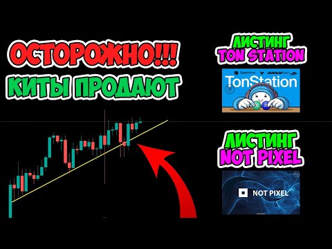 🔴КИТЫ ПРОДАЮТ BITCOIN ПО 100.000$ | ЛИСТИНГ TON STATION И NOT PIXEL | ЧТО ЖДАТЬ ОТ РЫНКА?