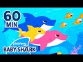 Baby Shark Family and Adventures