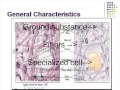 Histology: Tissue Characteristics and Functions