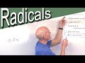 Understanding Radicals and Their Properties