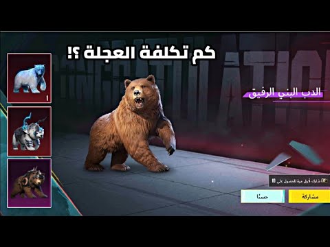 تفتيح عجلة رفيق الدب الجديد 😍 اقوى حظ بالعجلة كم كلفتني ✅️ تفتيح الرفيق الجديد ببجي موبايل