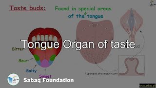 Tongue 
Organ of taste