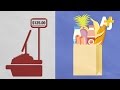 Understanding Food Stamps and SNAP