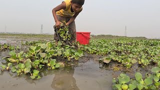 Hand Fishing|Boy Search & Hand Fishing Video|